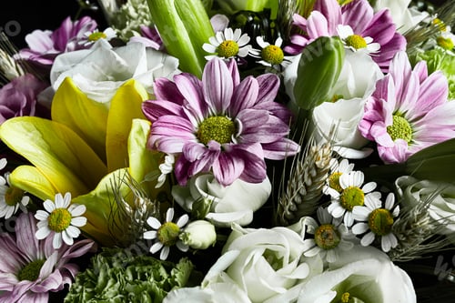 Preview: A variety of garden flowers close-up