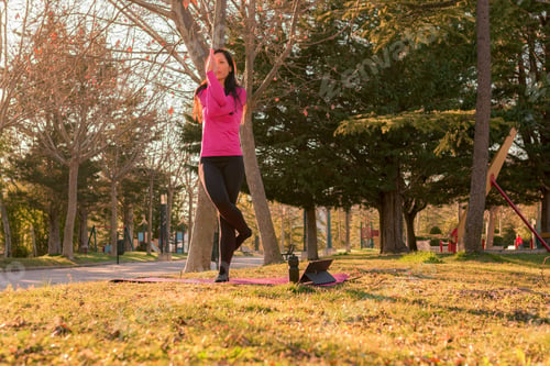 Preview: Woman performing yoga exercises in a park at sunset