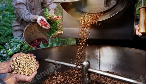 Preview: coffee cycle