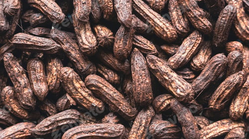 Preview: Top view of groundnuts still covered with soil.