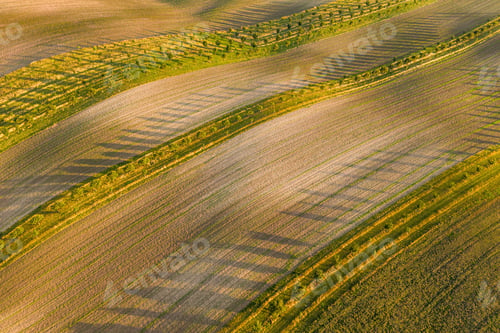 Preview: bio fields in South Moravia