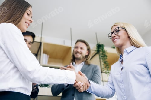 Preview: Businesswomen handshaking after deal agreement