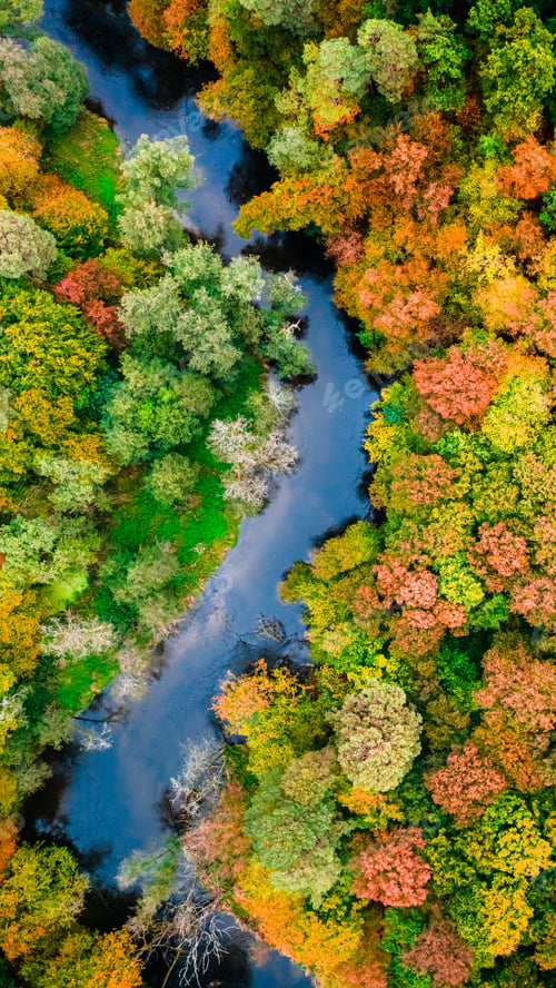 Preview: Winding river and autumn forest in Poland, aerial view, Poland