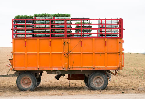 Preview: Tractor trailer loaded with seedlings