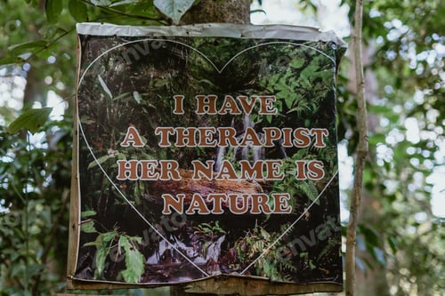 Preview: Close-up image of a sign attached to the side of a tree with the words "I Have A Therapist In"