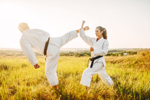 Preview: Male and female karate masters fight in field