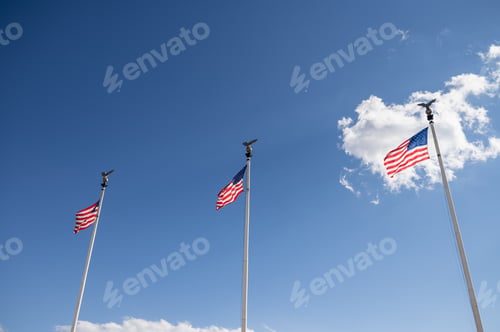 Preview: Low angle view of American flags on pole