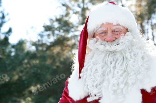 Preview: Happy Authentic Santa Claus outdoors, space for text