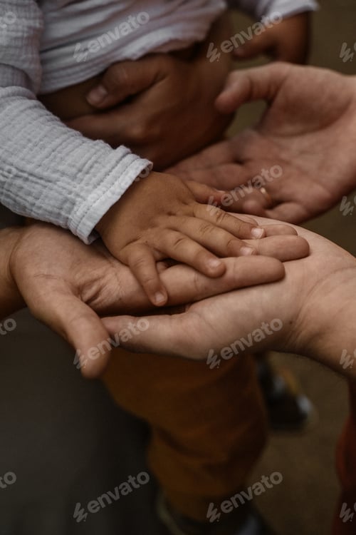 Preview: Family palms close-up, concept of support trust love