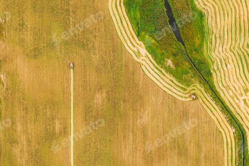 Preview: Aerial View Of Rural Landscape. Combine Harvester Working In Field, Collects Seeds. Harvesting Of