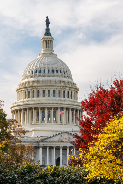 Preview: The U.S. Capitol in Washington, D.C., surrounded by vibrant autumn foliage