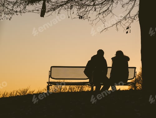 Preview: Silhouette of two people sitting on a bench under a tree during a sunset