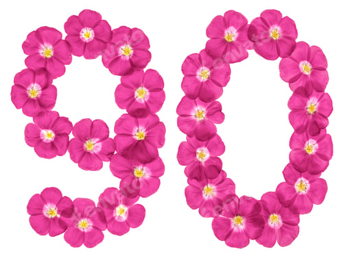 Preview: Number Ninety Made of Pink Flowers on White