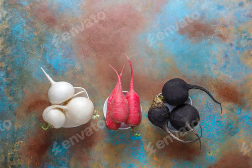 Preview: Various fresh radishes,white radish,long pink radish and black radish.
