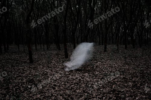 Preview: A ghost in a dark forest