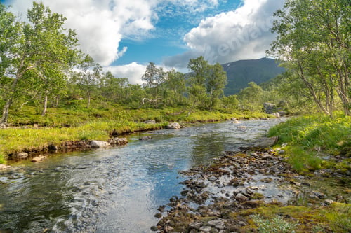 Preview: Beautiful Scandinavian landscape