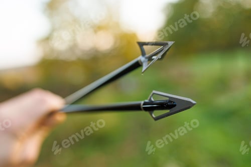 Preview: Closeup of a person holding arrows on a blurry green background