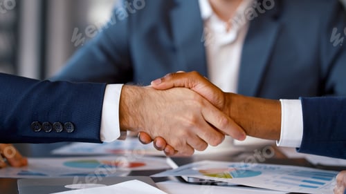 Preview: Business handshake: two colleagues shaking hands at a business meeting in the office