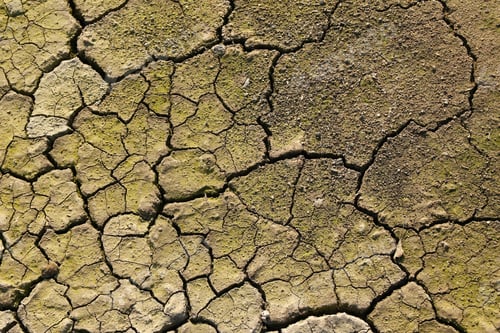 Preview: Dry cracked gray-green stony soil, top view.
