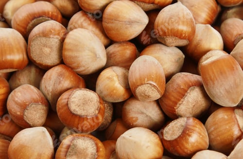 Preview: Closeup shot of a pile of sweet and delicious hazelnuts
