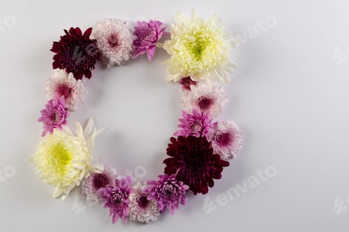 Preview: White, pink and purple flowers forming circle and copy space on white background