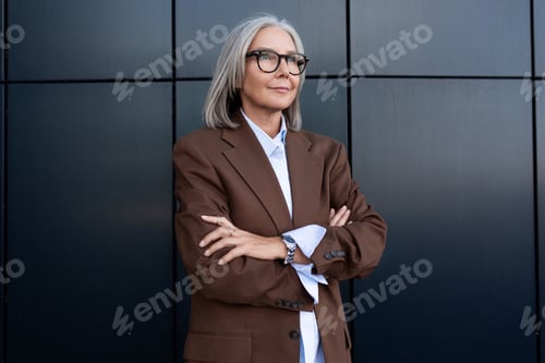 Preview: confident well-groomed old lady with gray hair in glasses is dressed in a brown jacket and shirt