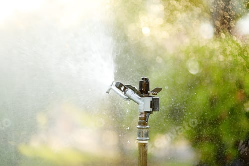 Preview: Garden sprinkler in sunny backyard.