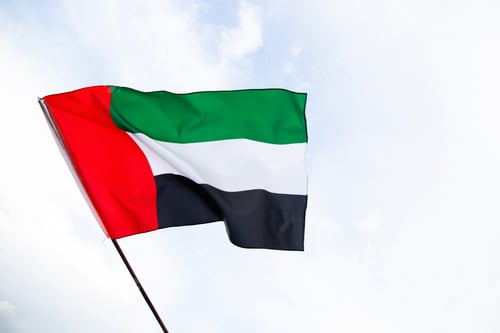 Preview: Waving fabric texture of the flag with color of United Arab Emirates, UAE real texture flag