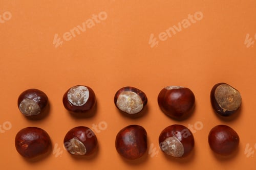 Preview: Fresh chestnut fruits on an orange background