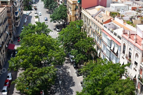 Preview: Aerial view of the road in Valencia with trees. Green capital of Europe.