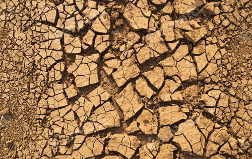 Preview: Cracked and dry soil