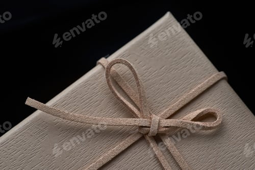 Preview: Close-up view of the brown gift box with leather bow