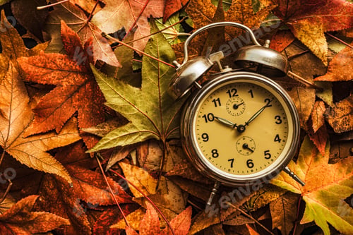 Preview: Autumn season time