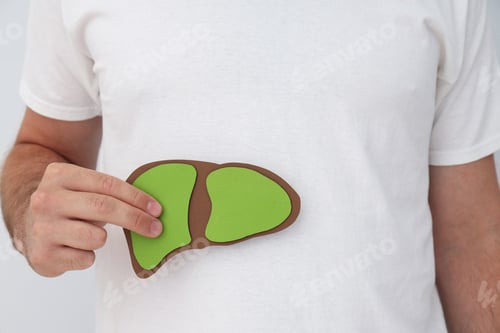 Preview: Paper liver in man's hand on white background, close up