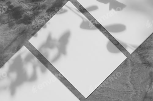 Preview: Three empty white vertical rectangle poster mockups with soft tree leaves shadow