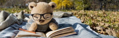 Preview: Banner Stuffed Teddy bear with glasses is lying on plaid in park as if reading book. Copy space