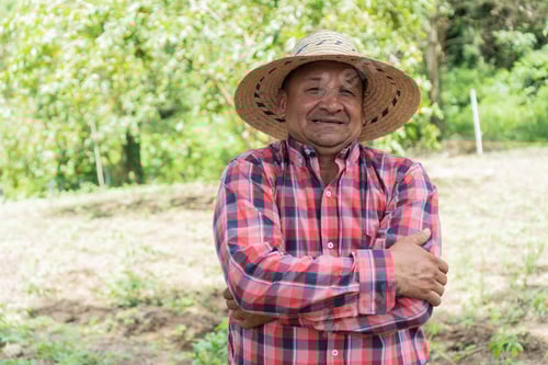 Preview: Smiling farmer standing on a crop