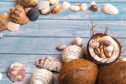 Preview: coconuts and seashells on a blue wooden background .Marine theme