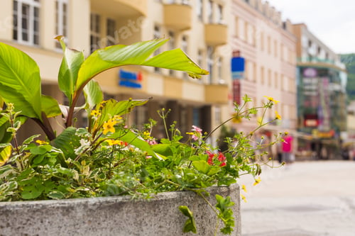 Preview: flowers in vase on the street