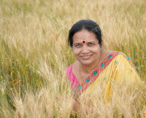 Preview: Beautiful young Indian woman wear in saree at the wheat field