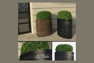 Preview: Modern Potted Bushes with Ribbed Planters