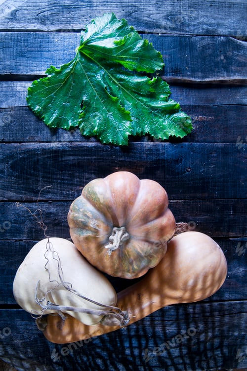 Preview: Harvest Of The Fall Season, Pumpkin