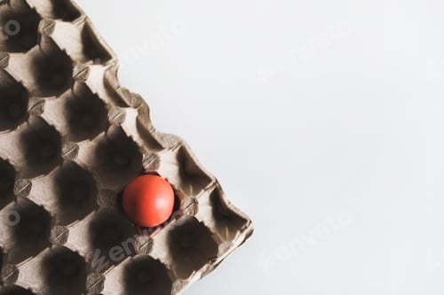 Preview: One red painted easter egg in carton box on white background. Top view. Paschal concept.