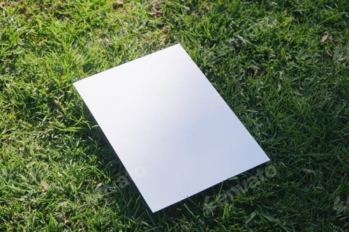 Preview: Mockup blank poster on green grass background