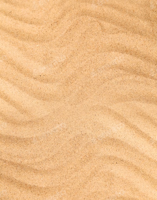 Preview: sand beach in the summer