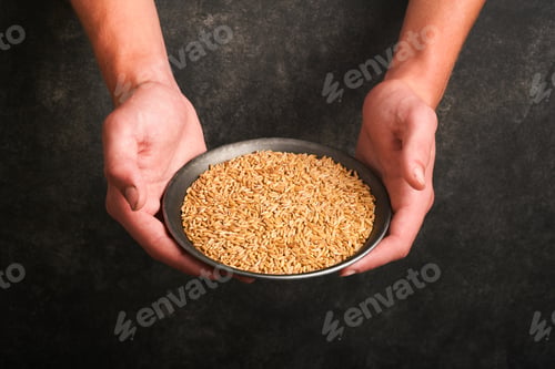 Preview: Wheat grain in old plate in hands of male farmer on grunge dark gray old background. Problems with t