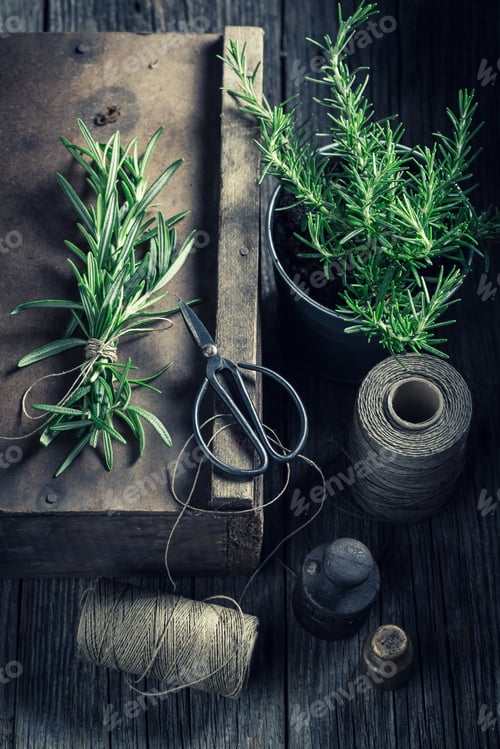 Preview: Fresh and intensive green herbs in a rustic kitchen