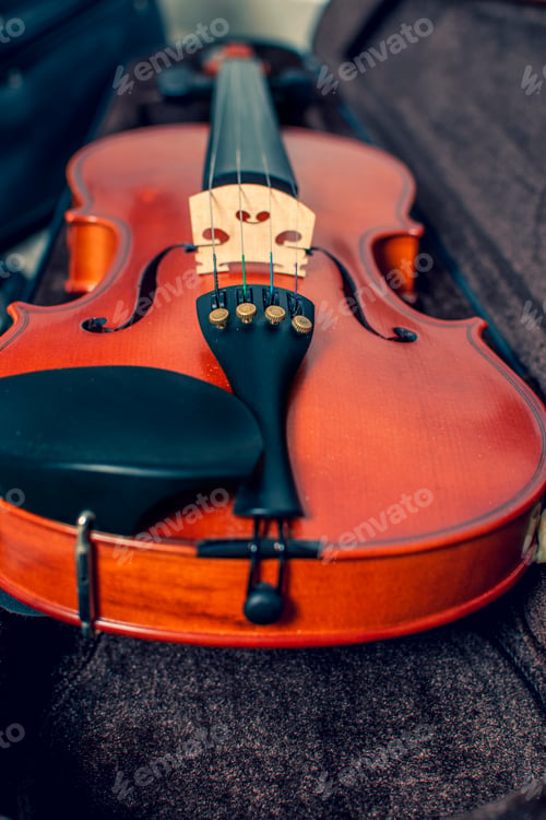 Preview: Old oak wood violin with strings on. Image in vintage tone.