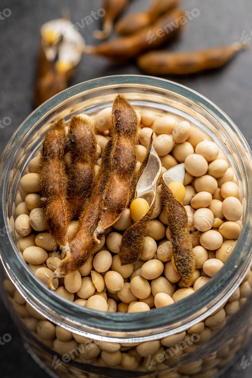 Preview: Soy beans . Dried soybean pod in jar on black table.