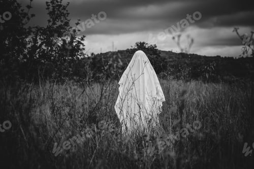 Preview: Ghost on the road